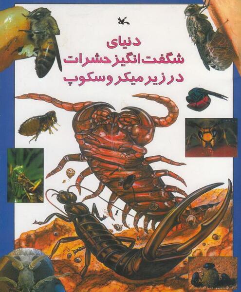 عکس سوسک زیر میکروسکوپ