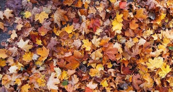 عکس های زیبای پاییز