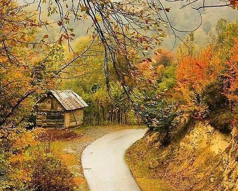 عکس های زیبای پاییز