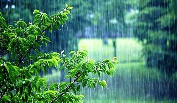 عکس های جدید بارش