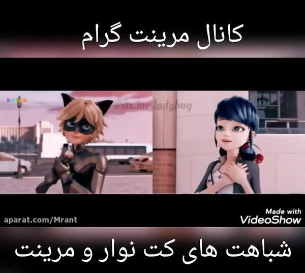 عکس کت نوار و مرینت