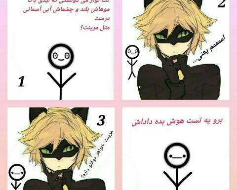 عکس کت نوار و مرینت