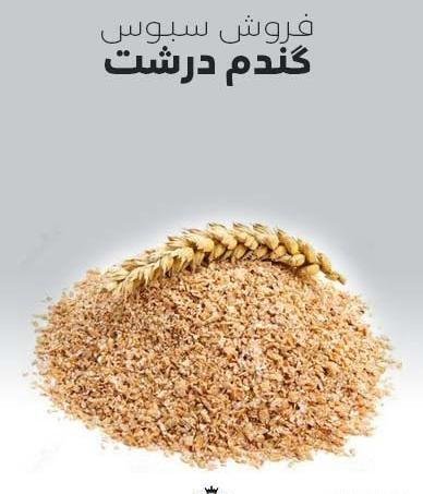 عکس ذرت گندم