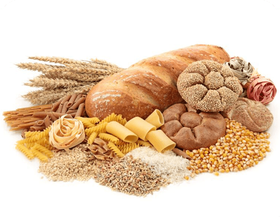 عکس ذرت گندم