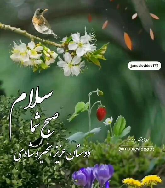 عکس شاد صبحگاهی