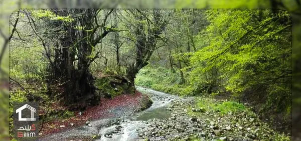 عکس جاهای دیدنی چالوس