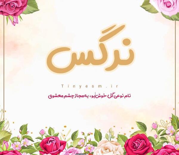 عکس نوشته نرگس ب انگلیسی