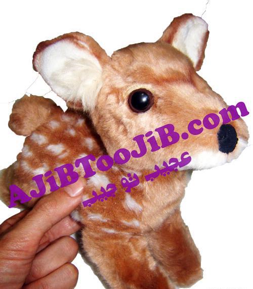 عکس آهو اسباب بازی