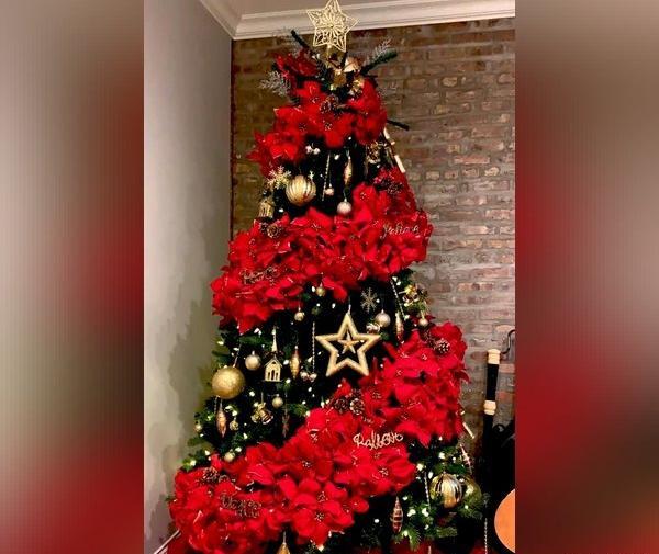عکس درخت کریسمس