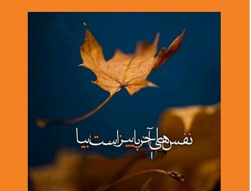 عکس استوری اخرین روز پاییز