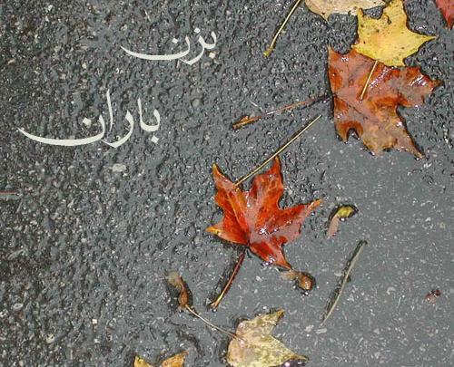 عکس استوری اخرین روز پاییز