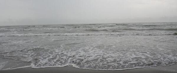 عکس زمین ساحلی