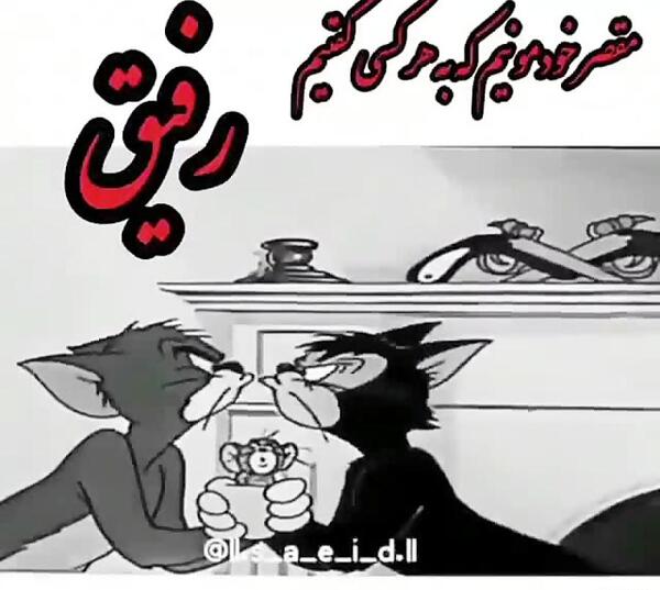 عکس گنگ تام و جری