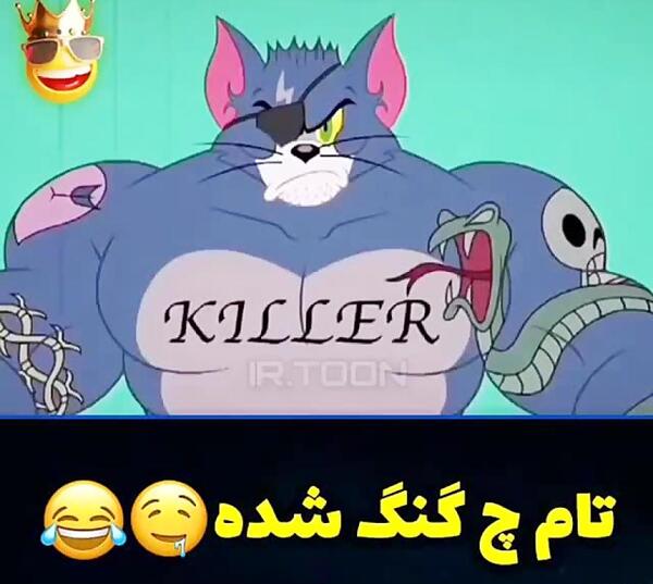 عکس گنگ تام و جری