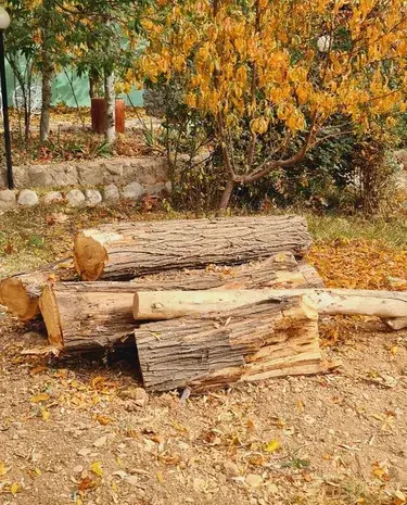 عکس پاییز سپیدان