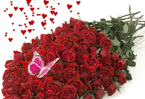 عکس شکوفه متحرک