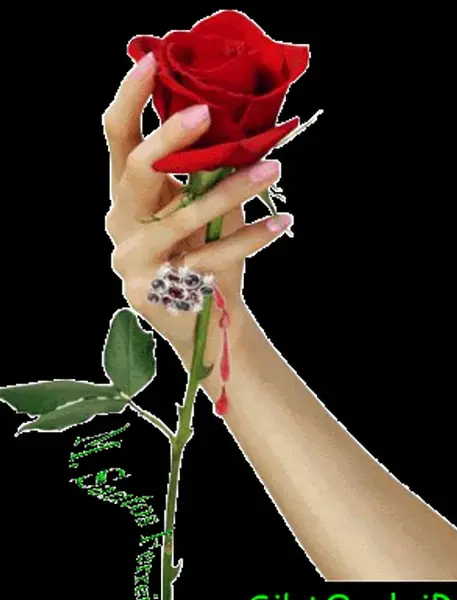 عکس شکوفه متحرک