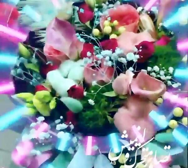 عکس شکوفه متحرک