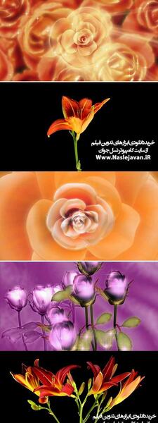 عکس شکوفه متحرک