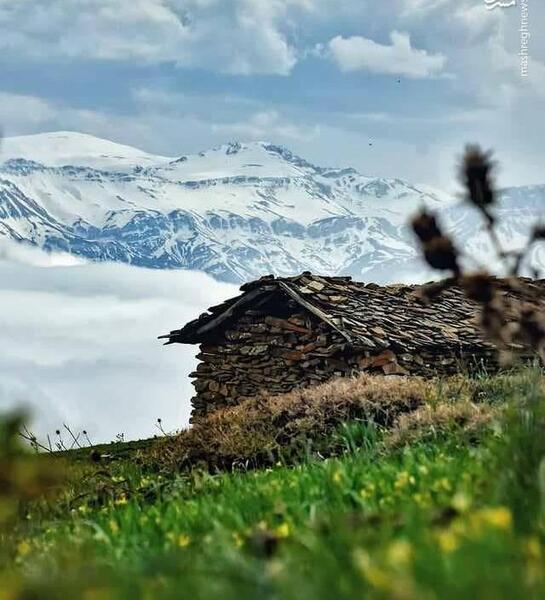 عکس زمستان قاب