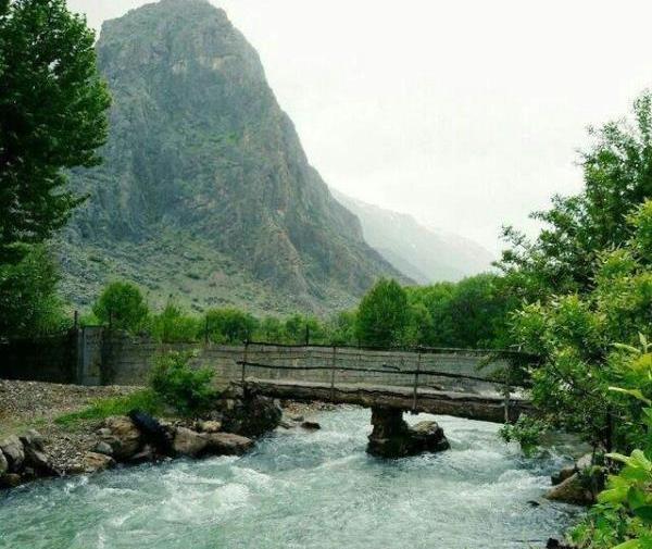 عکس زیبای طبیعت تابستانی