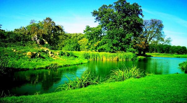 عکس زیبای طبیعت تابستانی