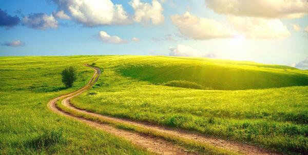 عکس زیبای طبیعت تابستانی