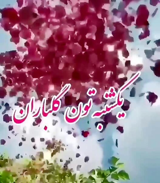 عکس روز یکشنبتون بخیر