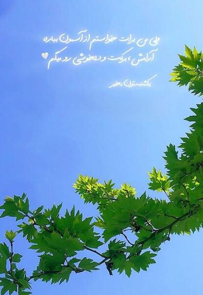 عکس روز یکشنبتون بخیر