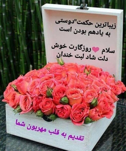 عکس روز یکشنبتون بخیر