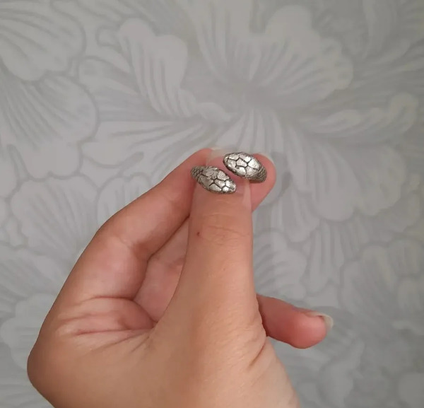 عکس مار نقره ای