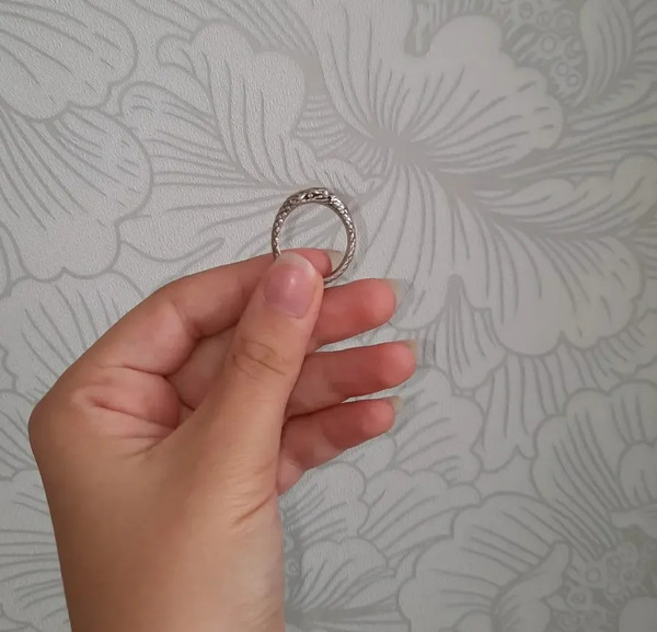 عکس مار نقره ای