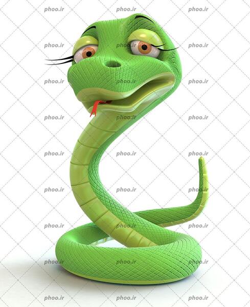 عکس مار نقره ای