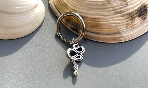 عکس مار نقره ای