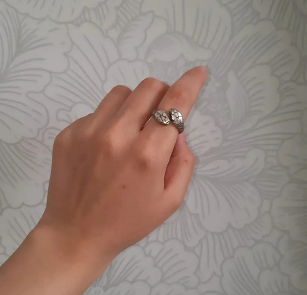 عکس مار نقره ای