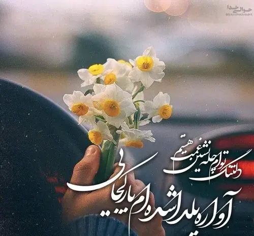 عکس یلدا مبارک مصطفی