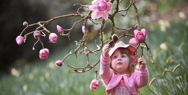 عکس طبیعت آرام