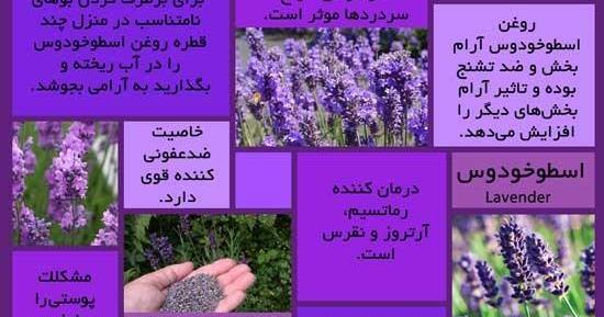 عکس نوشته طب سنتی