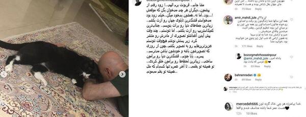 عکس خودکشی گربه