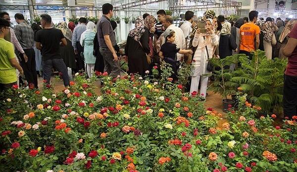 عکس نمایشگاه گل و گیاه
