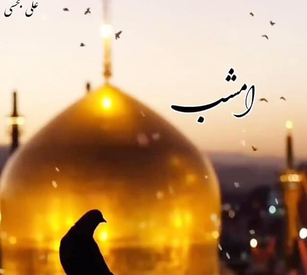 عکس نوشته یا امام رضا شفای همه مریضا