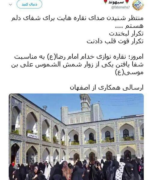 عکس نوشته یا امام رضا شفای همه مریضا