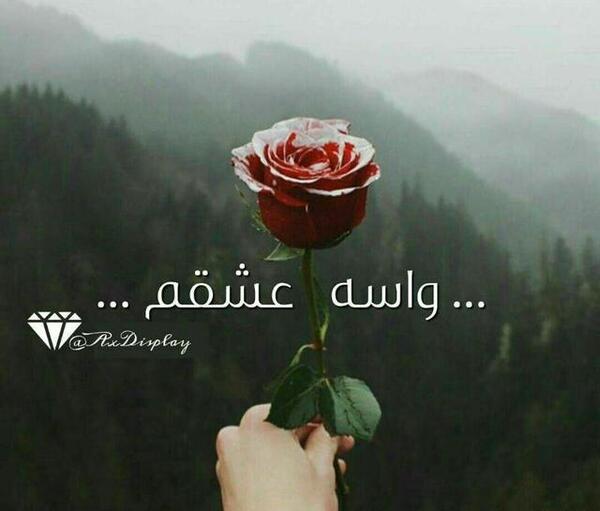عکس دوست دارم فائزه