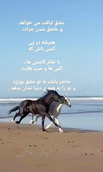 عکس نوشته لیاقت میخواهد