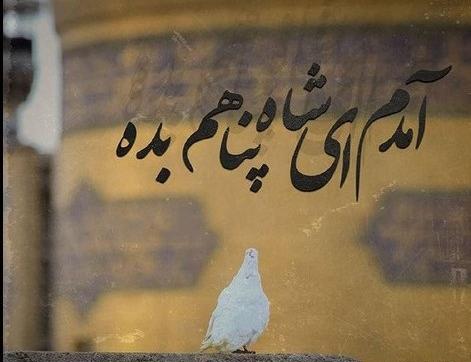 عکس برای استوری شهادت امام رضا