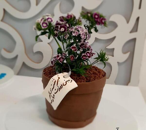 عکس گل طبیعی گلدانی
