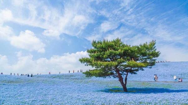 عکس منظره زیبا برای فتوشاپ