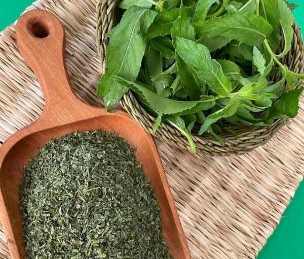 عکس نعناع خشک