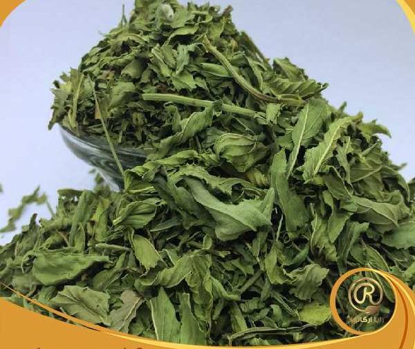 عکس نعناع خشک