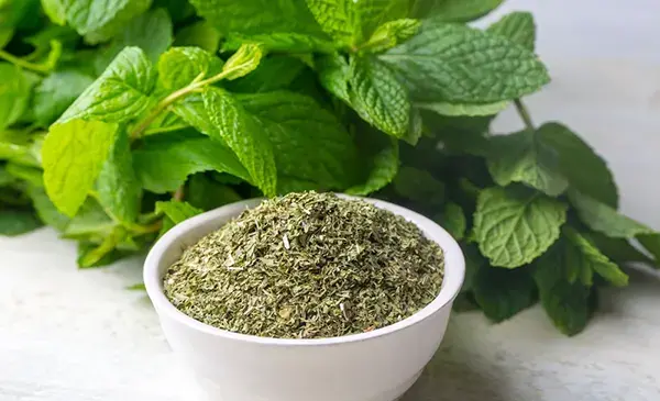 عکس نعناع خشک